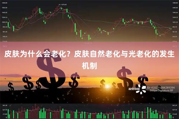 皮肤为什么会老化？皮肤自然老化与光老化的发生机制