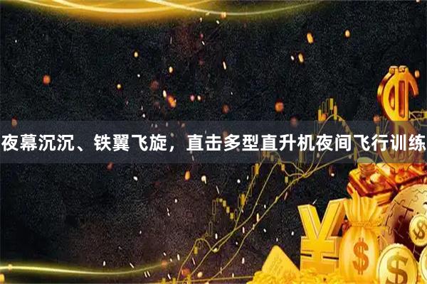 夜幕沉沉、铁翼飞旋，直击多型直升机夜间飞行训练