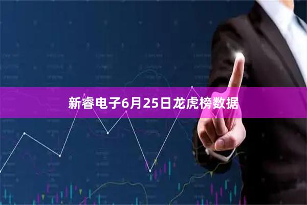 新睿电子6月25日龙虎榜数据