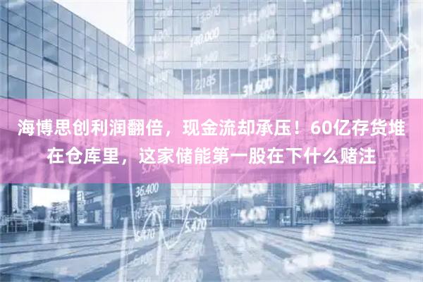 海博思创利润翻倍，现金流却承压！60亿存货堆在仓库里，这家储能第一股在下什么赌注